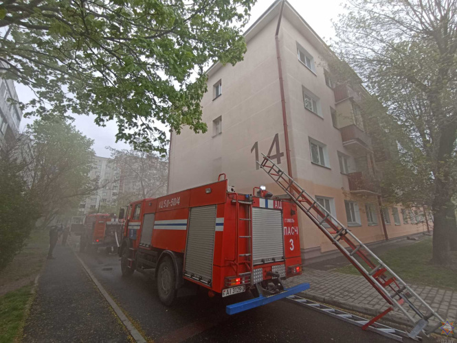 На пожаре в Гомеле работники МЧС спасли женщину и её мужа