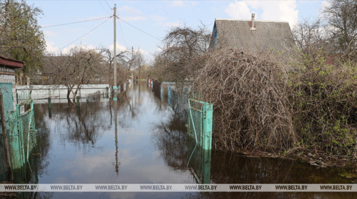 В Добрушском, Калинковичском и Рогачевском районах подтоплены 5 частных домов и 6 подворий